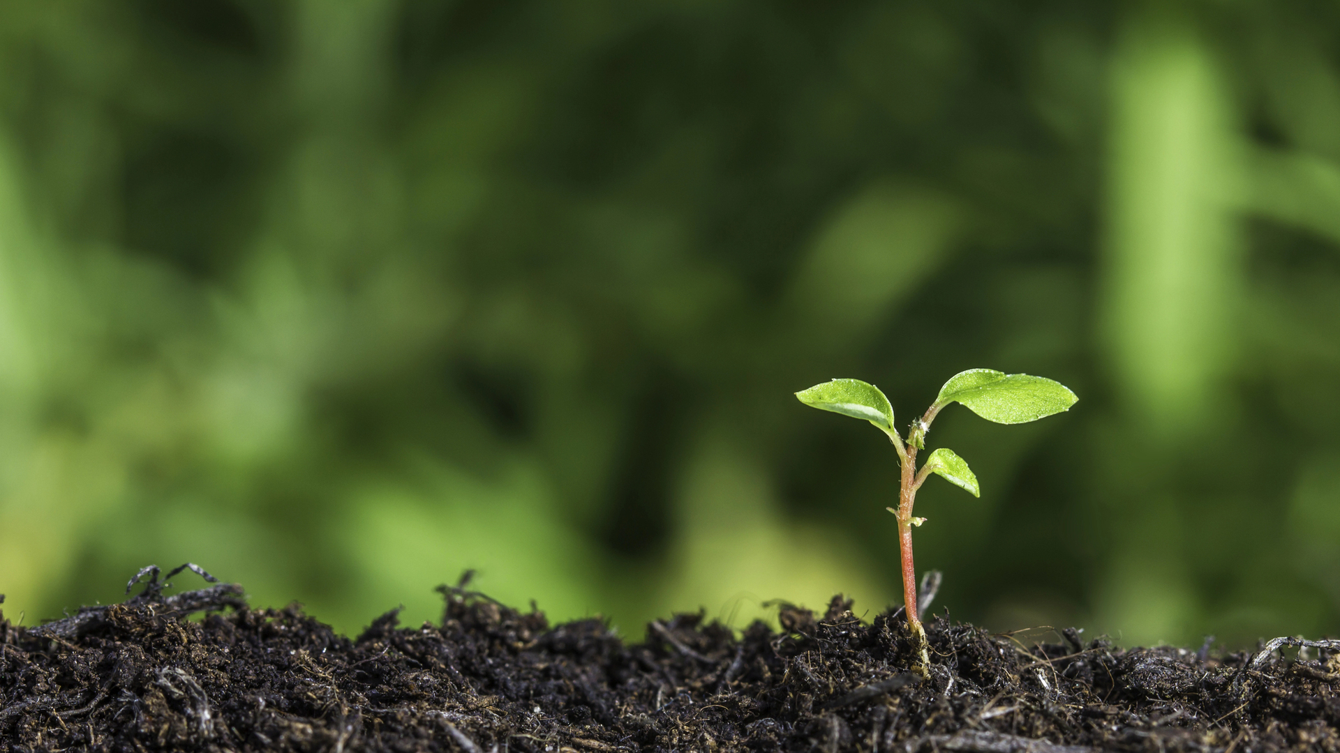 newsletter_esg